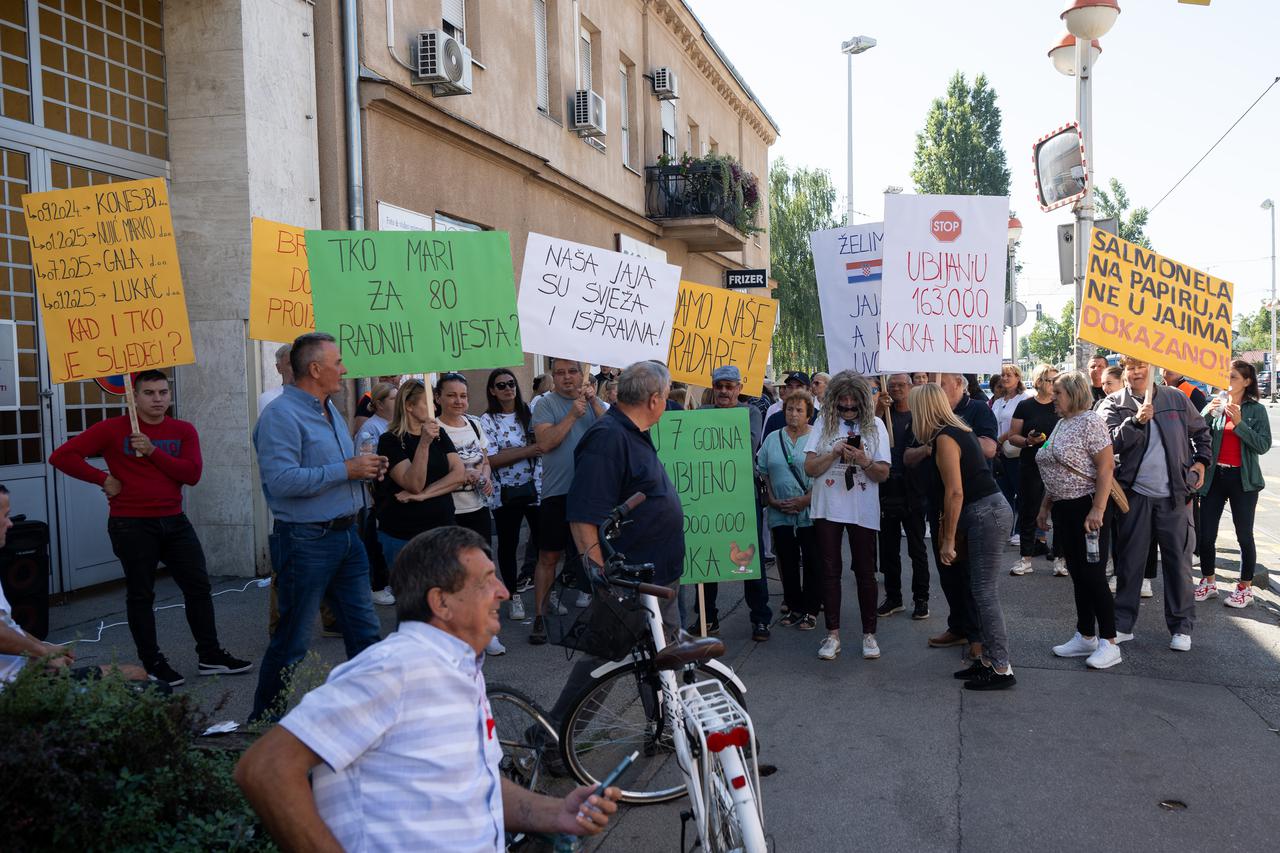 Zagreb: Lukač peradarstvo prosvjeduje zbog toga što moraju ubiti 170.000 kokoši