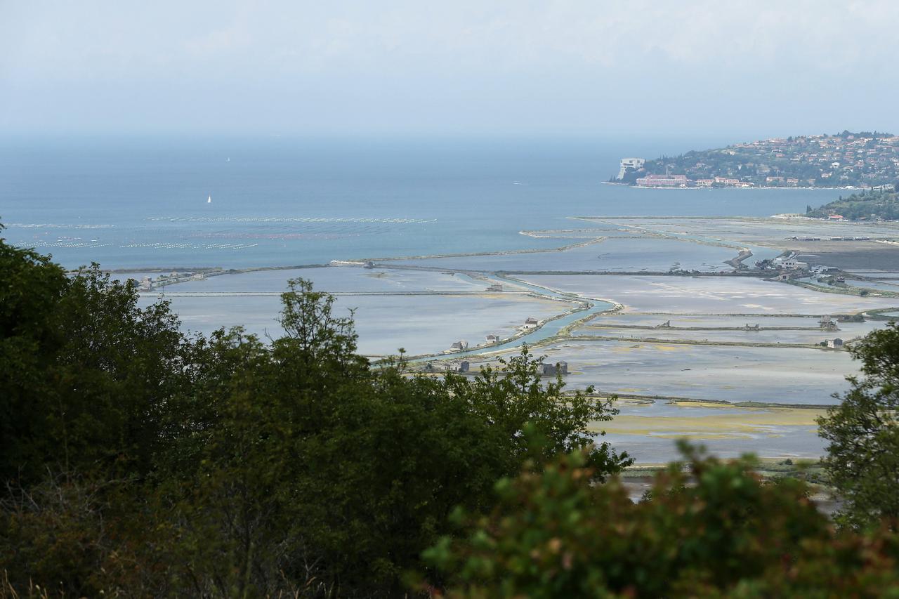 Savudrijska vala/Piranski zaljev