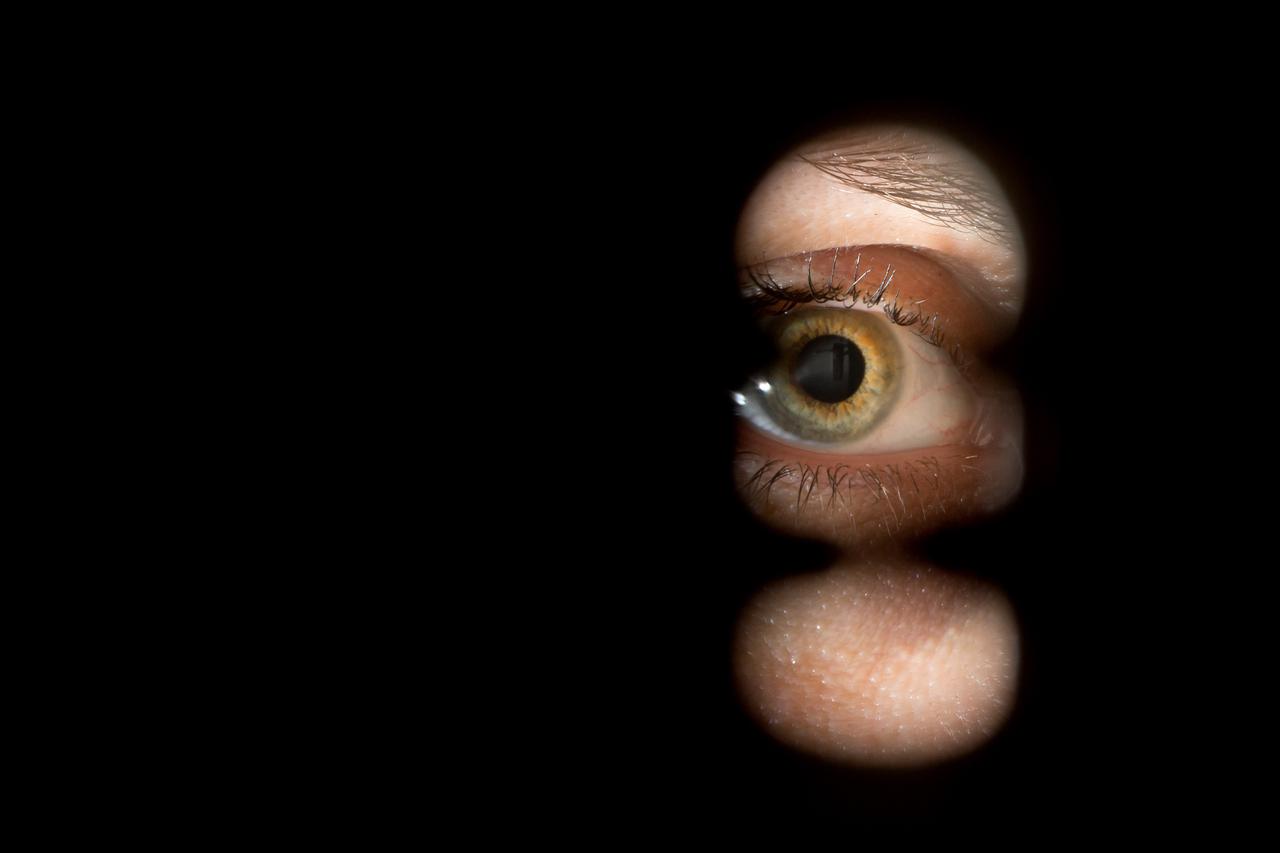 Muenchen: Špijuniranje kroz klju?anicu, ilustracija