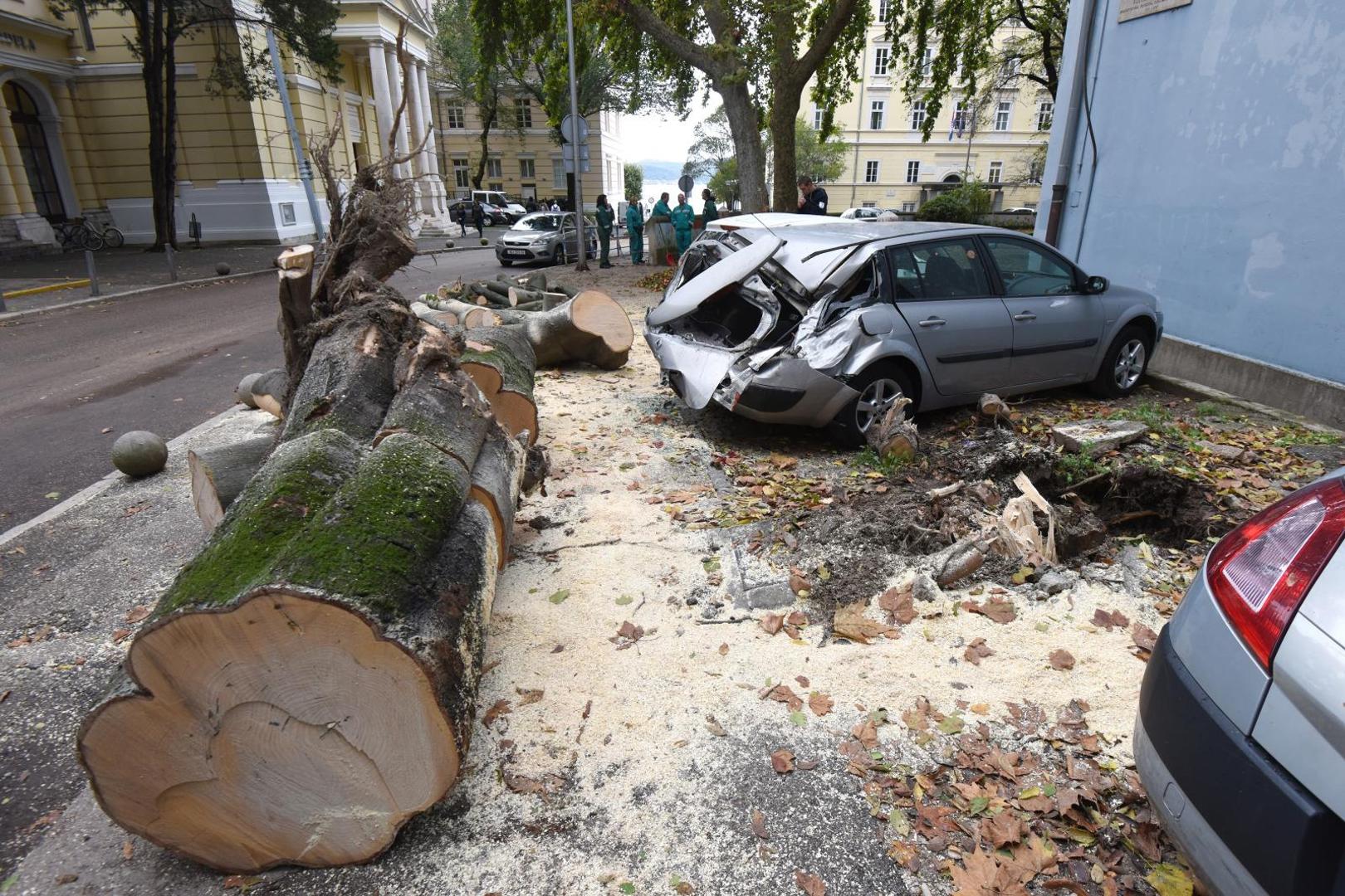 Stablo je smrskalo dva parkirana automobila na kojima je pričinjena znatna materijalna šteta.