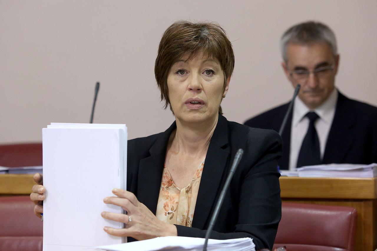 04.06.2014., Zagreb - Raspravom o zakonu o zadrugama, Sabor RH nastavio je 13. sjednicu. Nansi Tireli.