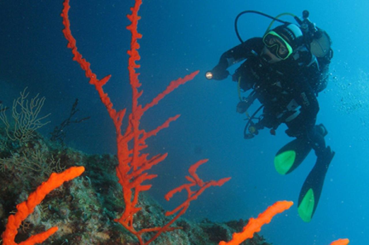 \'Split, 180911.  Dodjela nagrada na Otvorenom prvenstvu Hrvatske u podvodnoj fotografiji u organizaciji Hrvatskog ronilackog saveza i PIK Mornar iz Splita. Sudjelovalo je 12 natjecatelja i 7 modela i