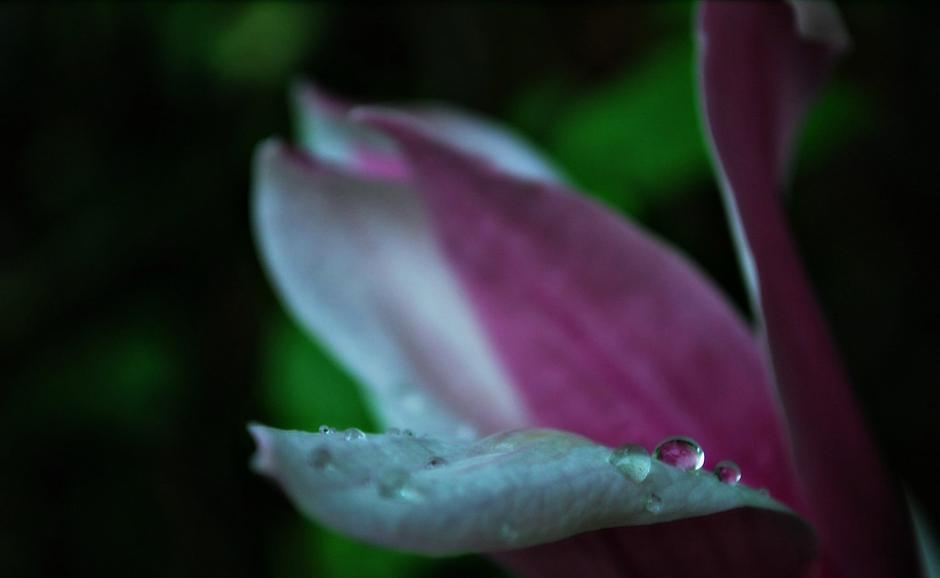 Marija Petrović fotosofia
