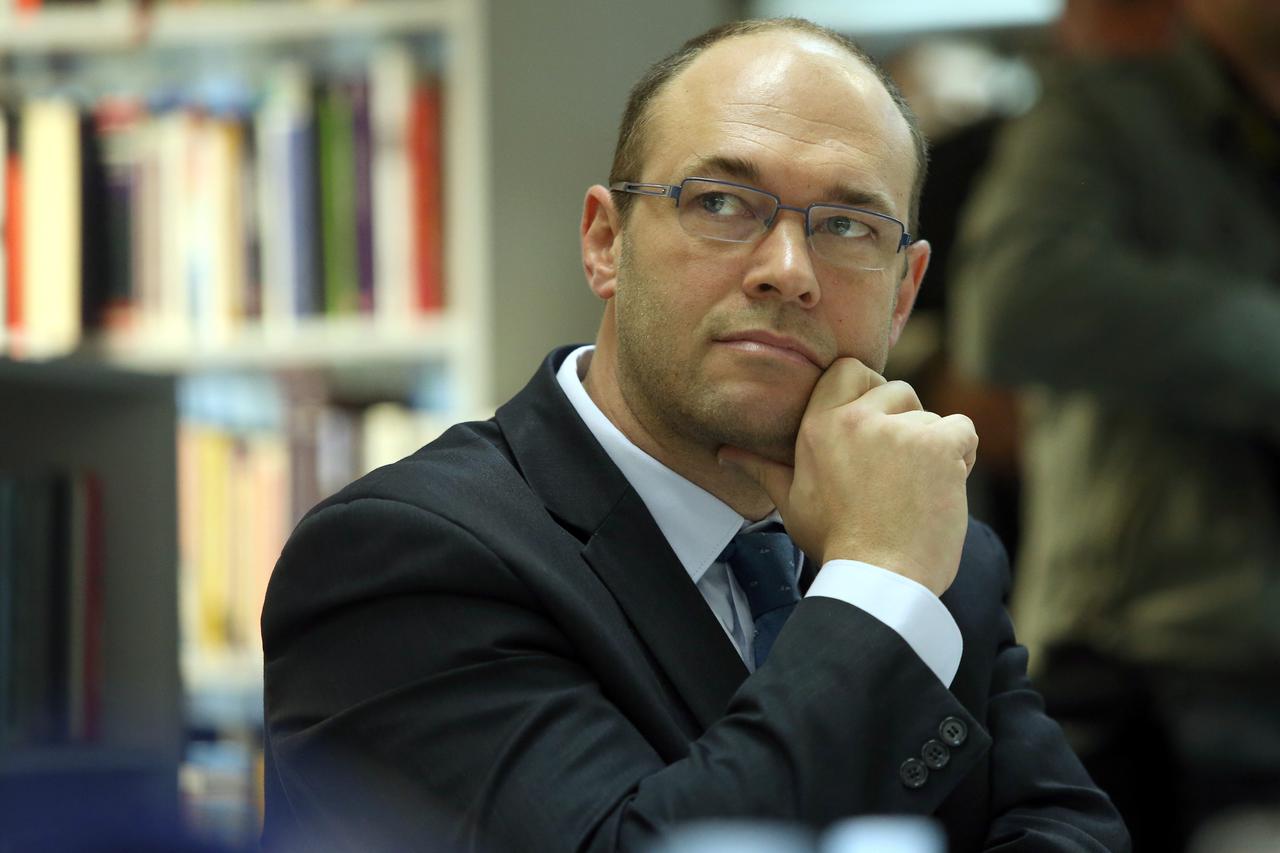 Davor Ivo Stier