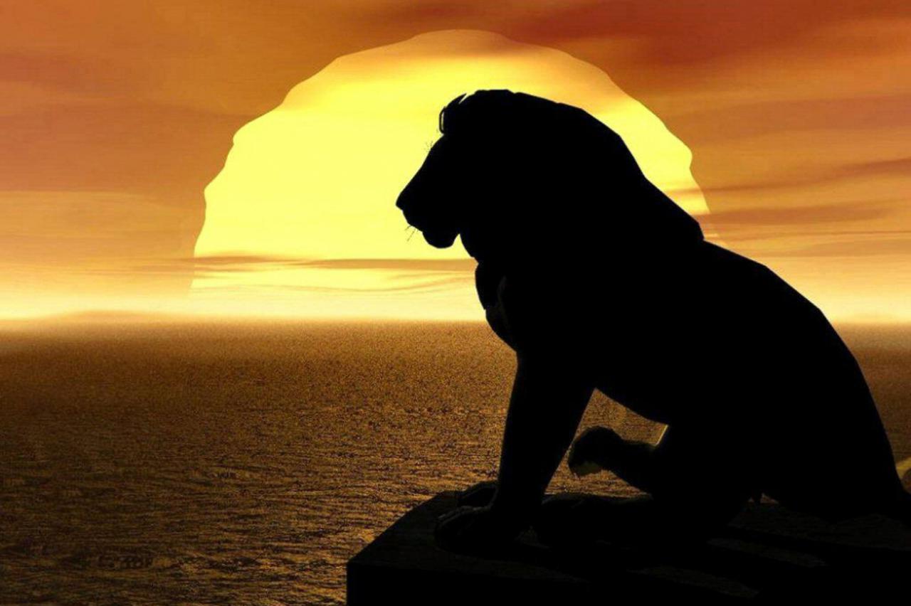 Scena iz Kralja lavova 