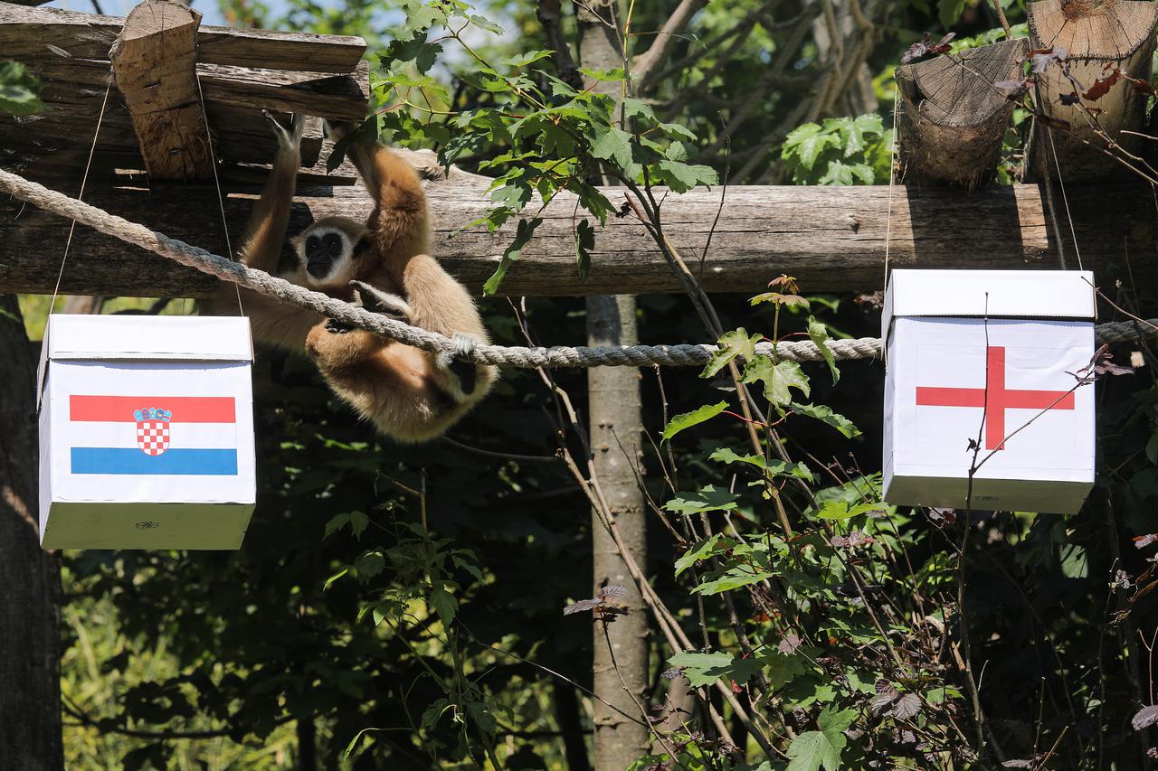 Zagreb: Gibon Kent predvidio pobjedu Hrvatske protiv Enleske