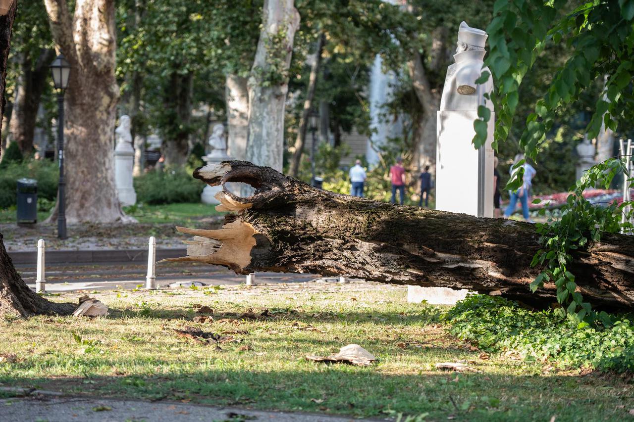 Zagreb: Posljedice olujnog nevremena na Zrinjevcu