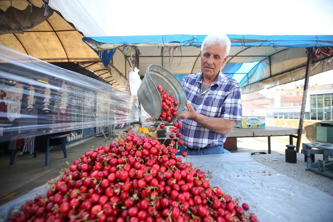 Šibenik: Na šibensku tržnicu stigle prve ovogodišnje trešnje