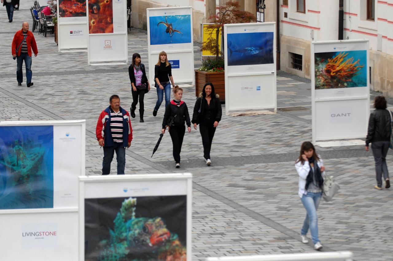 '10.09.2010. Franjevacki trg, Varazdin, Prijatelji mora postavili izlozbu podvodne fotografije na otvorenom na Franjevackom trgu Photo: Marko Jurinec/PIXSELL'