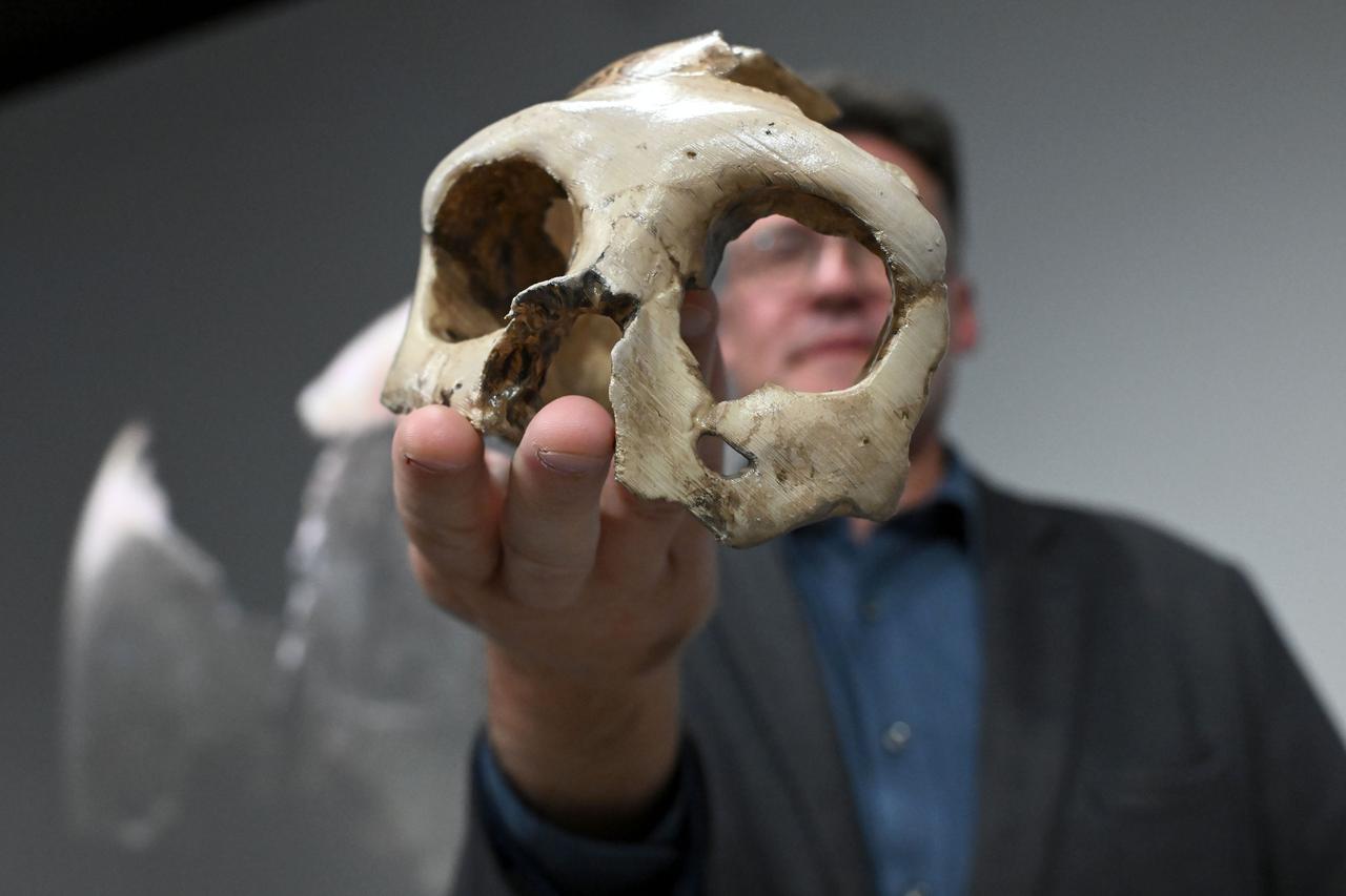 Zagreb: Lubanja C, svjetska paleoantropološka baština izložena u Prirodoslovnom muzeju