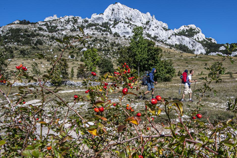 HIGHLANDER Velebit