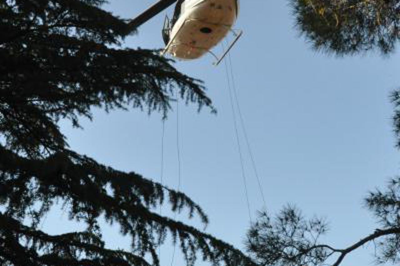 specijalci,specijalna policija (1)