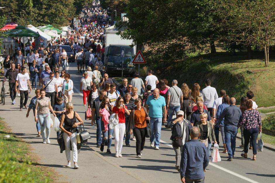 Velika Gospa u Aljmašu