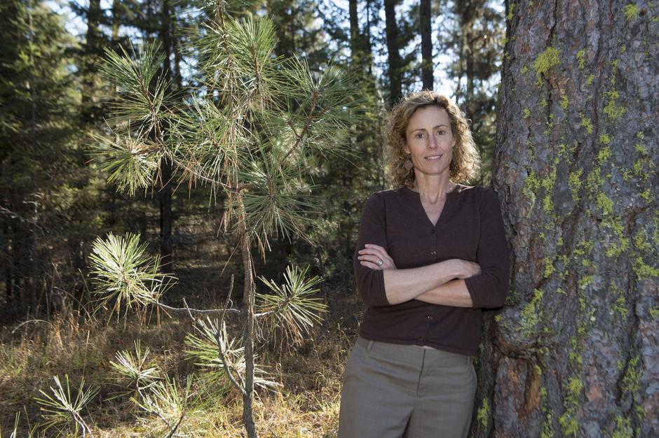 IEDC - Poslovna škola Bled