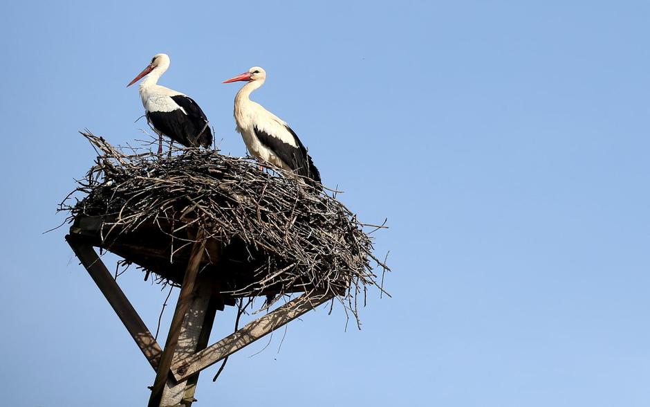 Zagrebačka županija