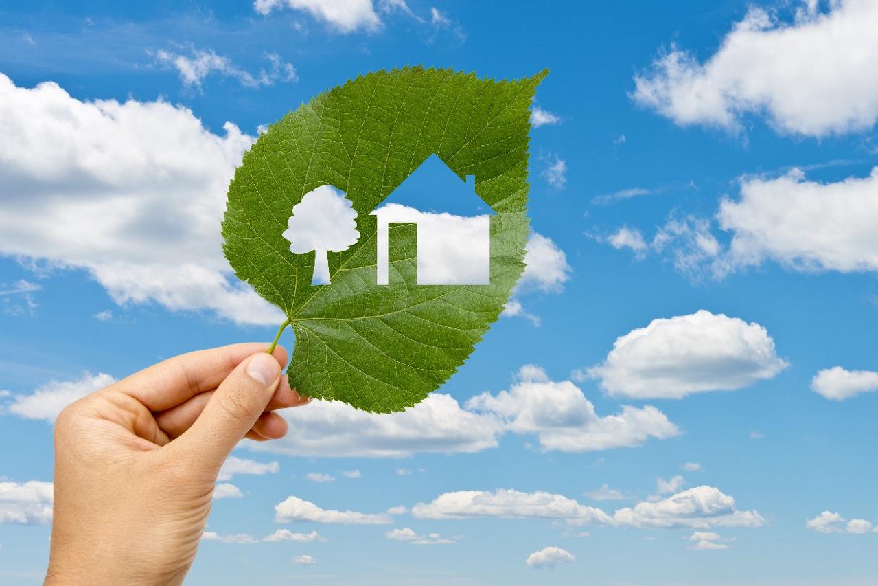PPD