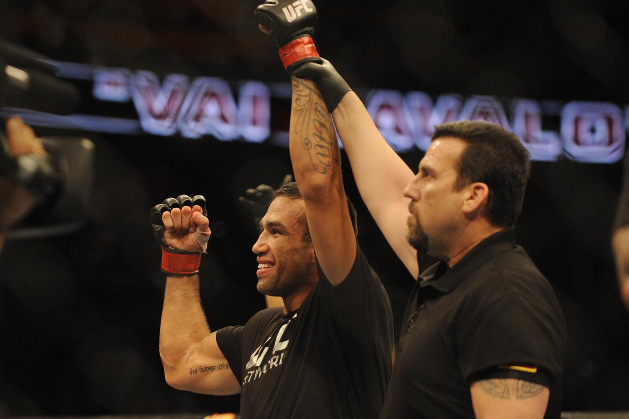 Fabricio Werdum