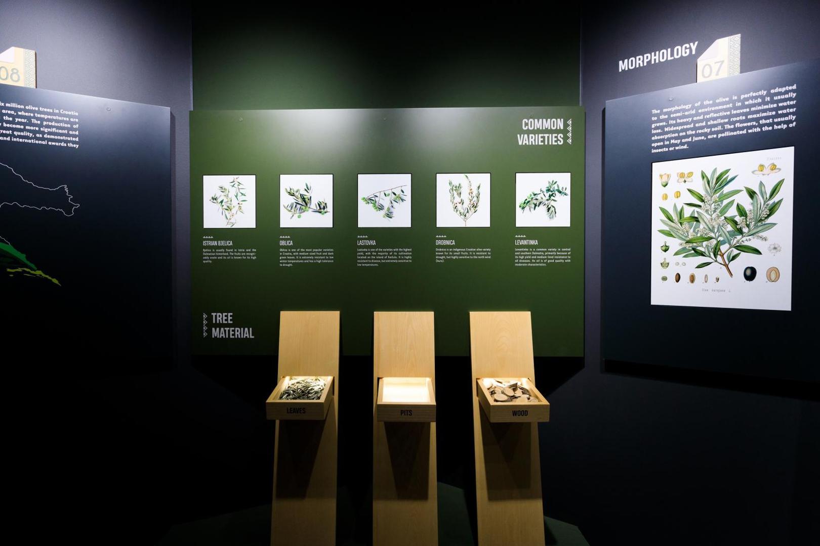 20.05.2021., Klis - U etno selu Stella Croatia otvara se muzej posvecen maslini.
Photo: Milan Sabic/PIXSELL