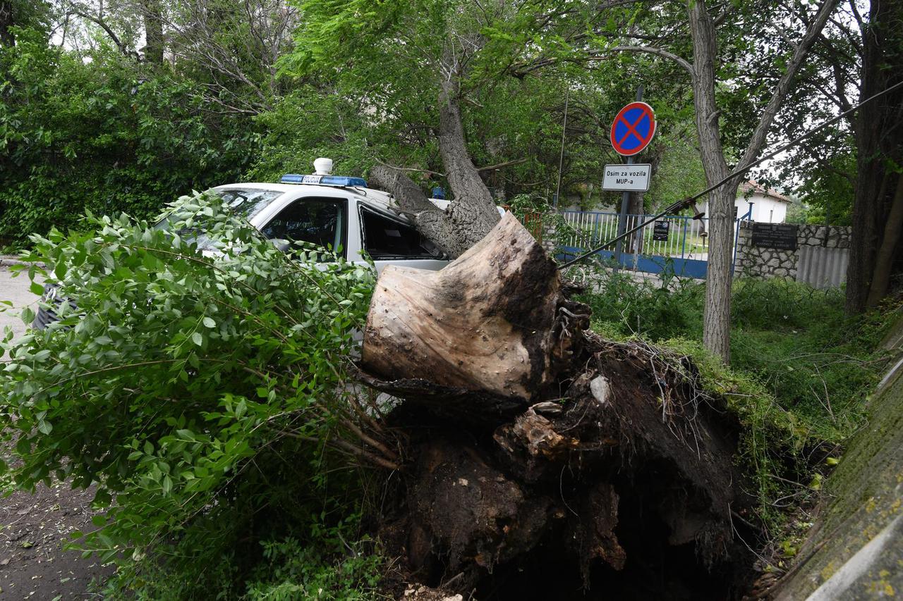 Sibenik: Jak vjetar srusio veliko drvo i razbio policijski kombi