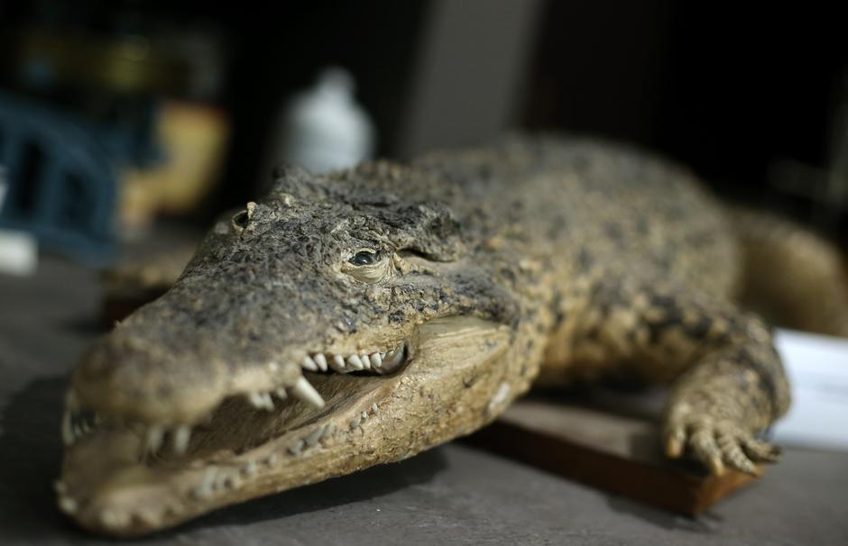 Najstarija ljekarna u Zagrebu, u Kamenitoj ulici