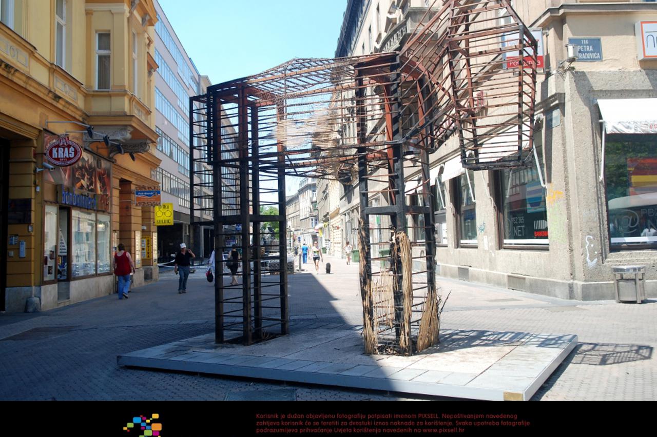 konj,cvjetni trg (1)
