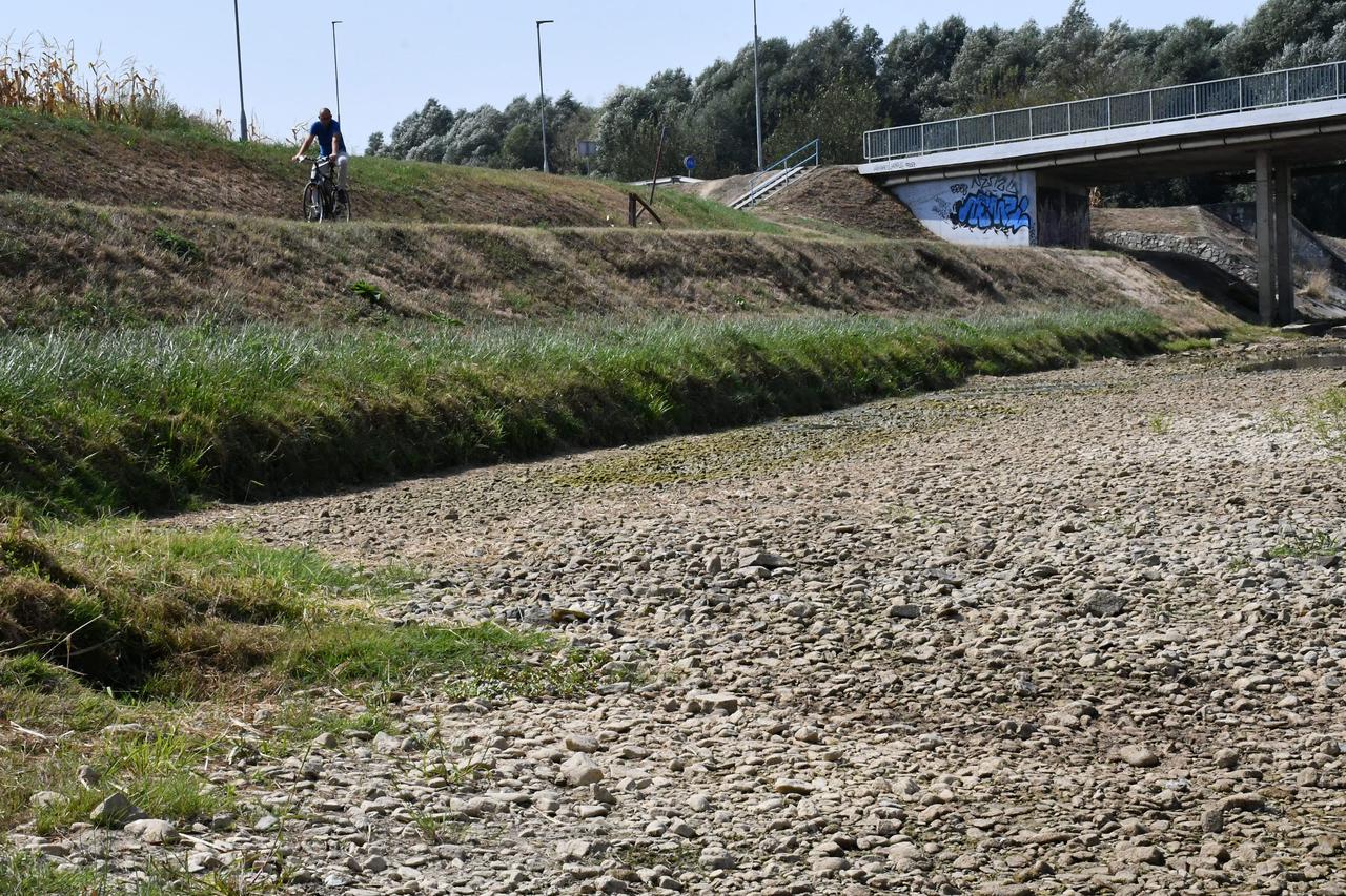 Rokovci: Zadruga Vinkovačka Šparoga
