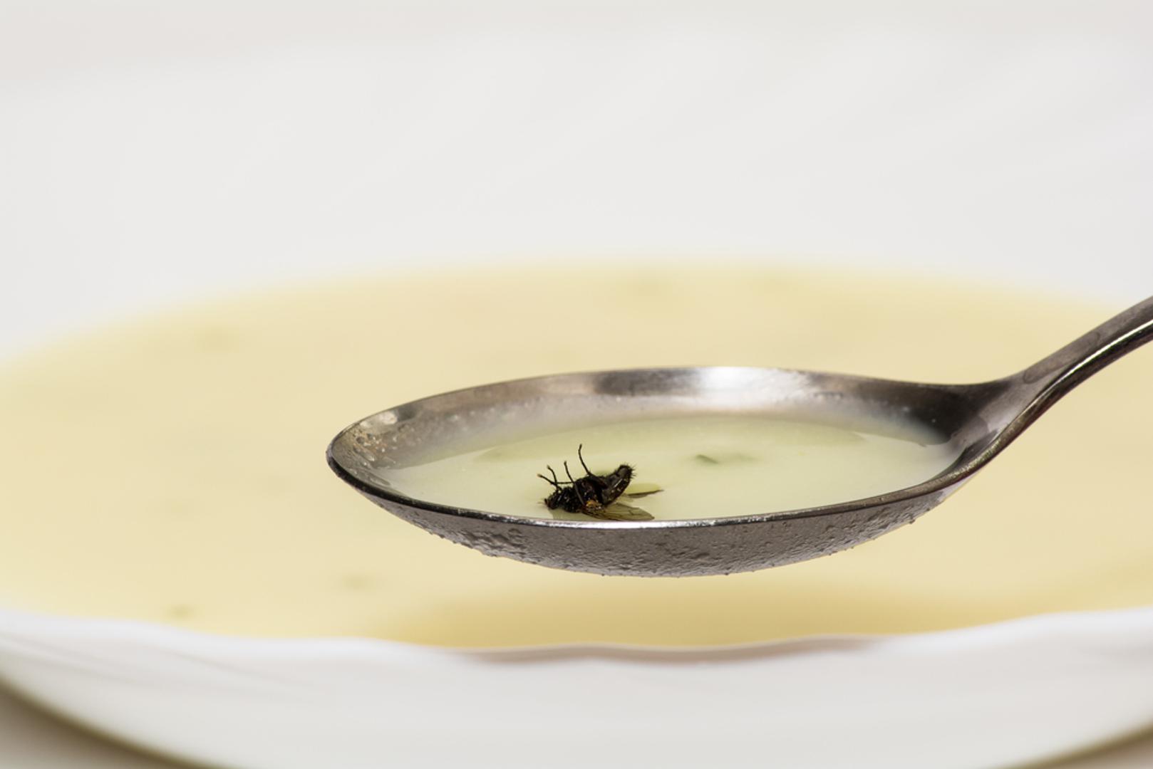 Muhe slijeću na razne prljave površine poput izmeta, pokvarene hrane, smeća i sl. Upravo stoga važno je tjerati muhe s hrane i izbjegavati jesti taj komadić namirnice na koju je sletjela. Iako može zvučati drastično, imajte na umu da muha može prenijeti opasne bakterije, poput uzročnika tifusa, proljeva, kolere... 