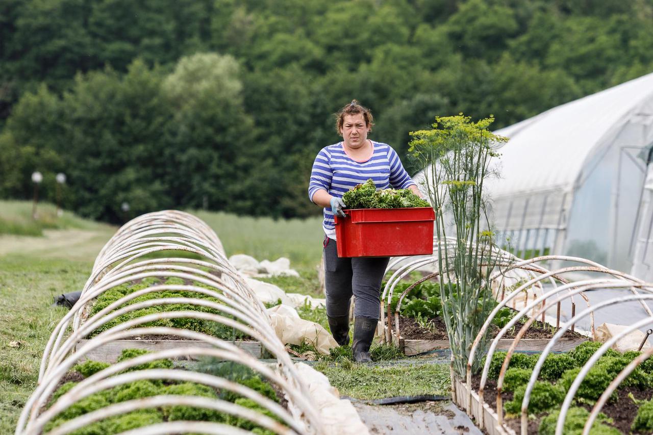 Zagreb: Ekološko imanje EKO Zrno