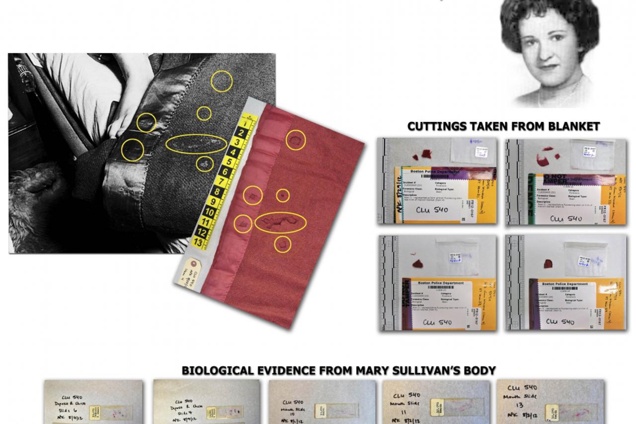 Bostonski davitelj, portal (1)