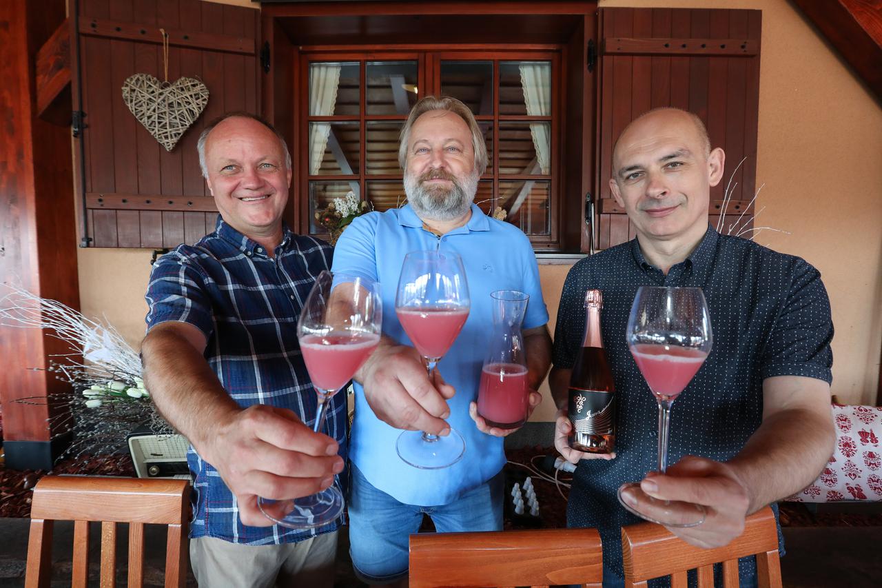 Zagreb: Završetak berbe grožđa u Bregovitoj Hrvatskoj