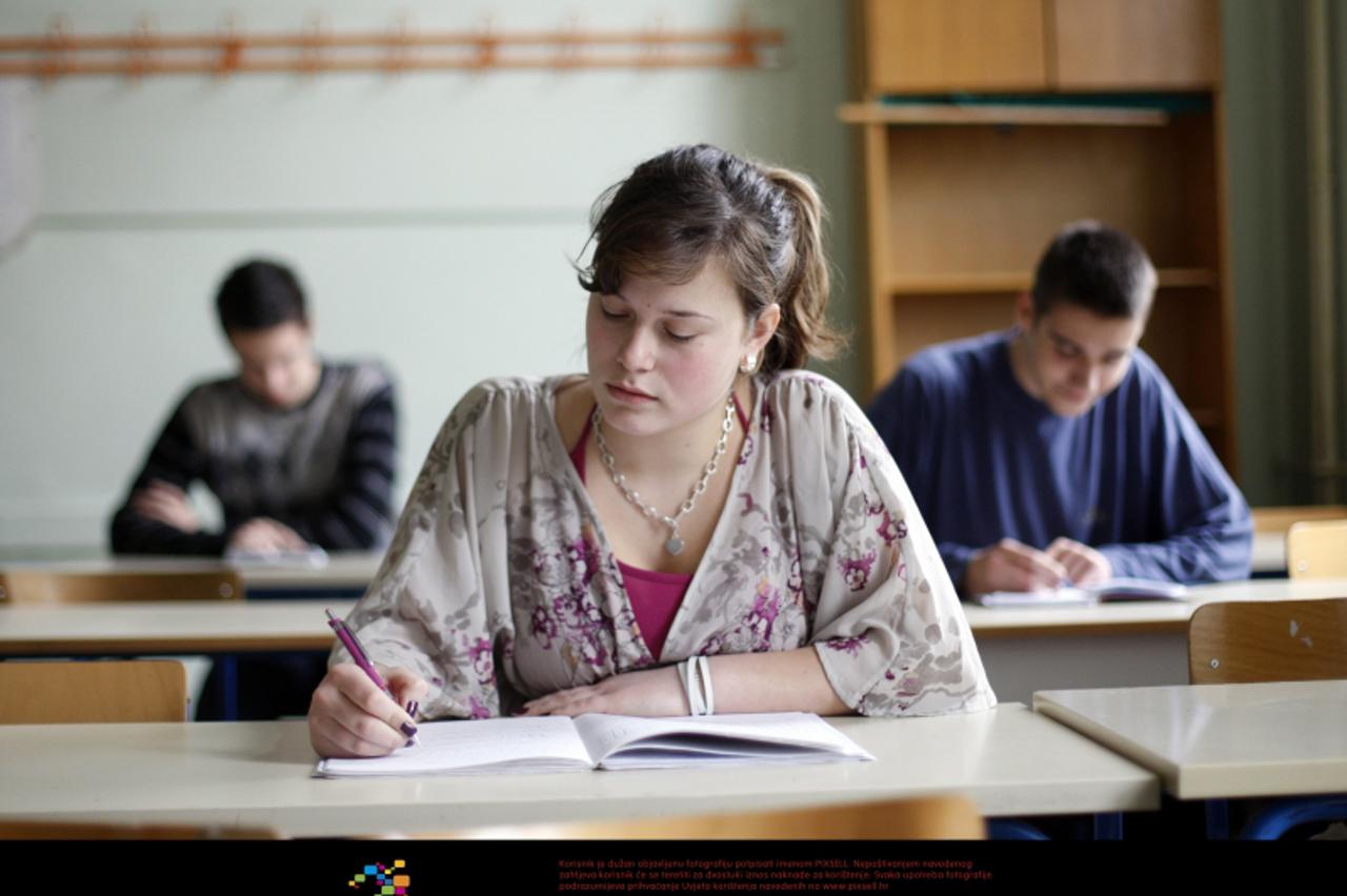 '26.02.2010., Zagreb, Hrvatska - Ilustracija za ucenje, drzavnu maturu. Ines Zunic. Photo: Slavko Midzor/PIXSELL'