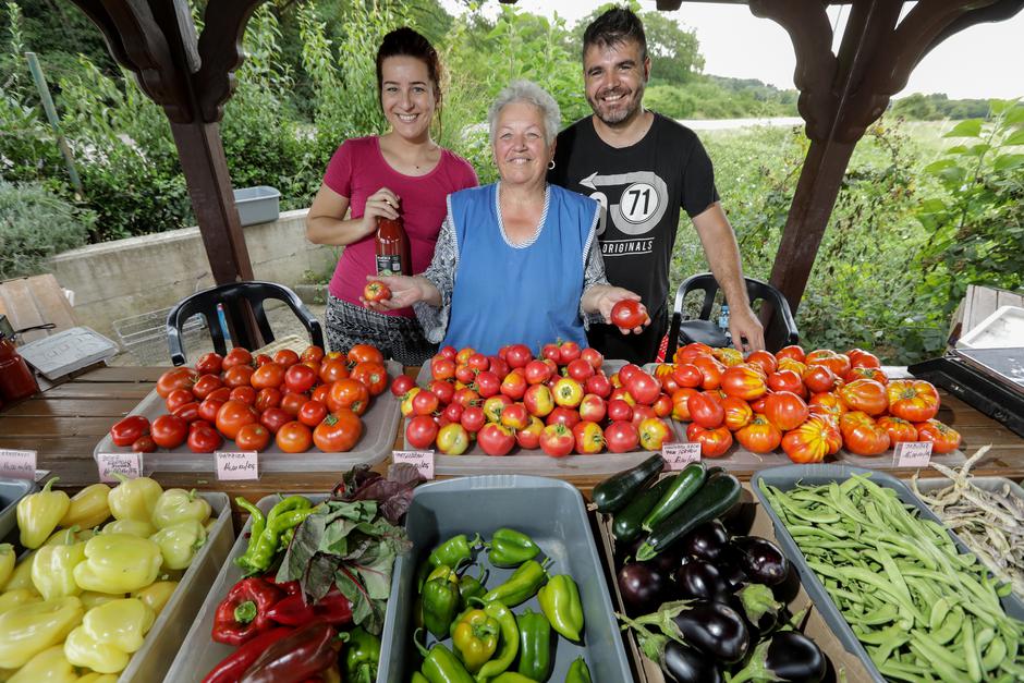 Zagreb: OPG Novak - ekološko povrćarstvo