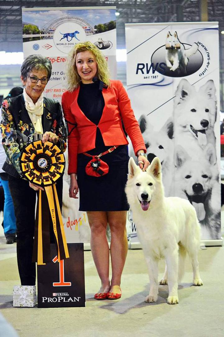Švicarski bijeli ovčar Frida od Bijelih anđela bila je druga u šampionskoj klasi (RCAC), Tihana Duspara