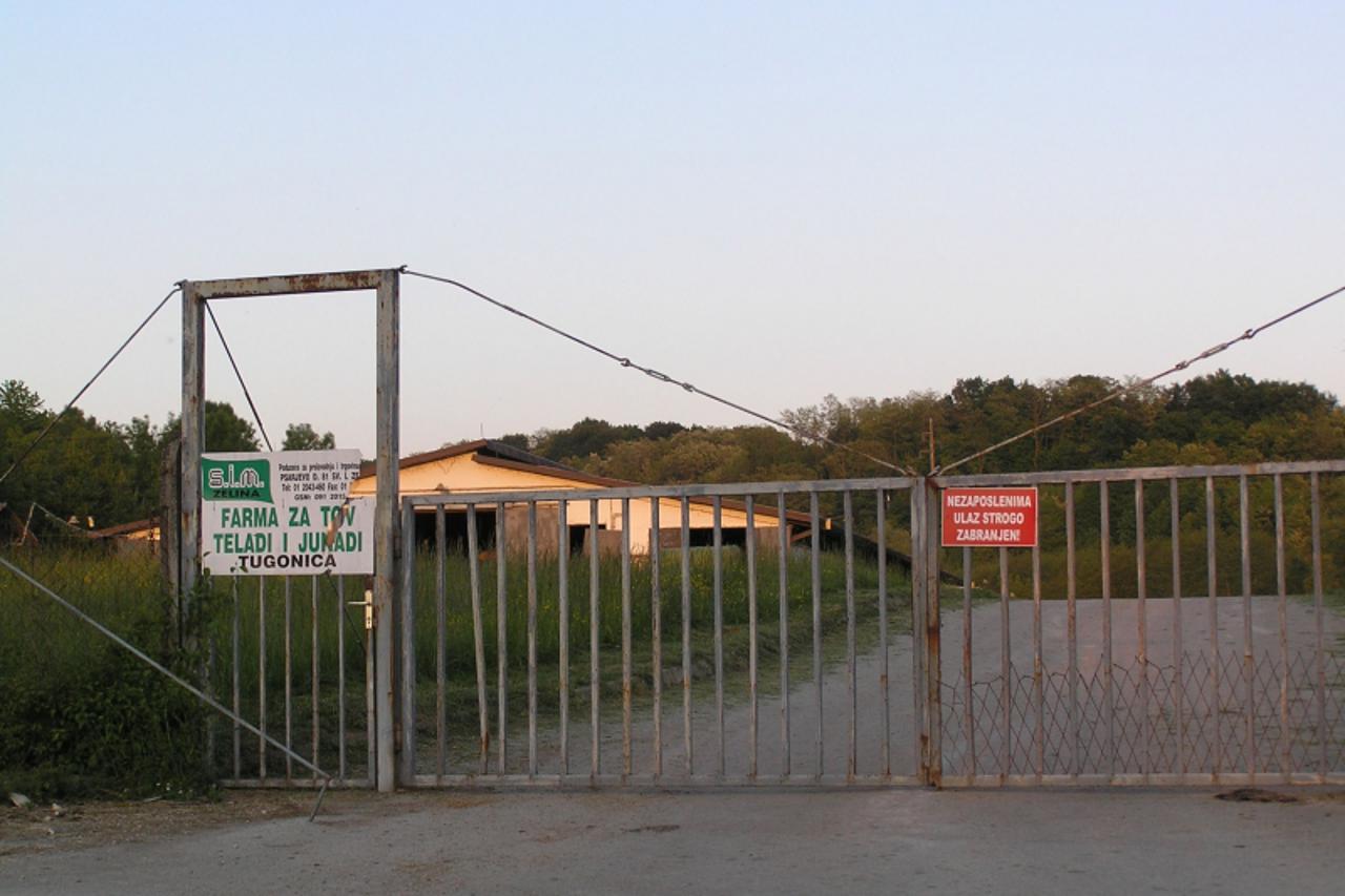 'zagorje - 11. 05. 2011.,Marija Bistrica, Hrvatska - Stanovnici Tugonice i Podgrada zale se na smrad i oneciscenje koje stize s farme teladi u njihovom susjedstvu'