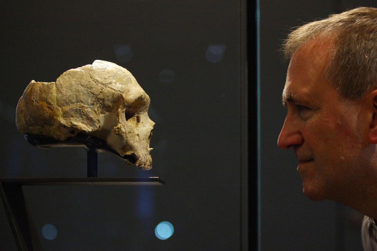 London: Otvorena izložba u Prirodoslovnom muzeju