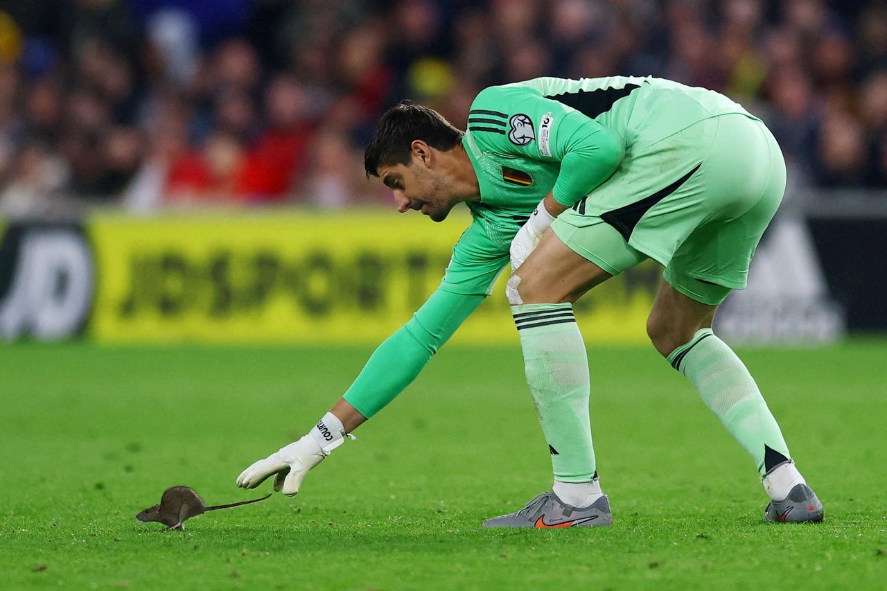 Courtois