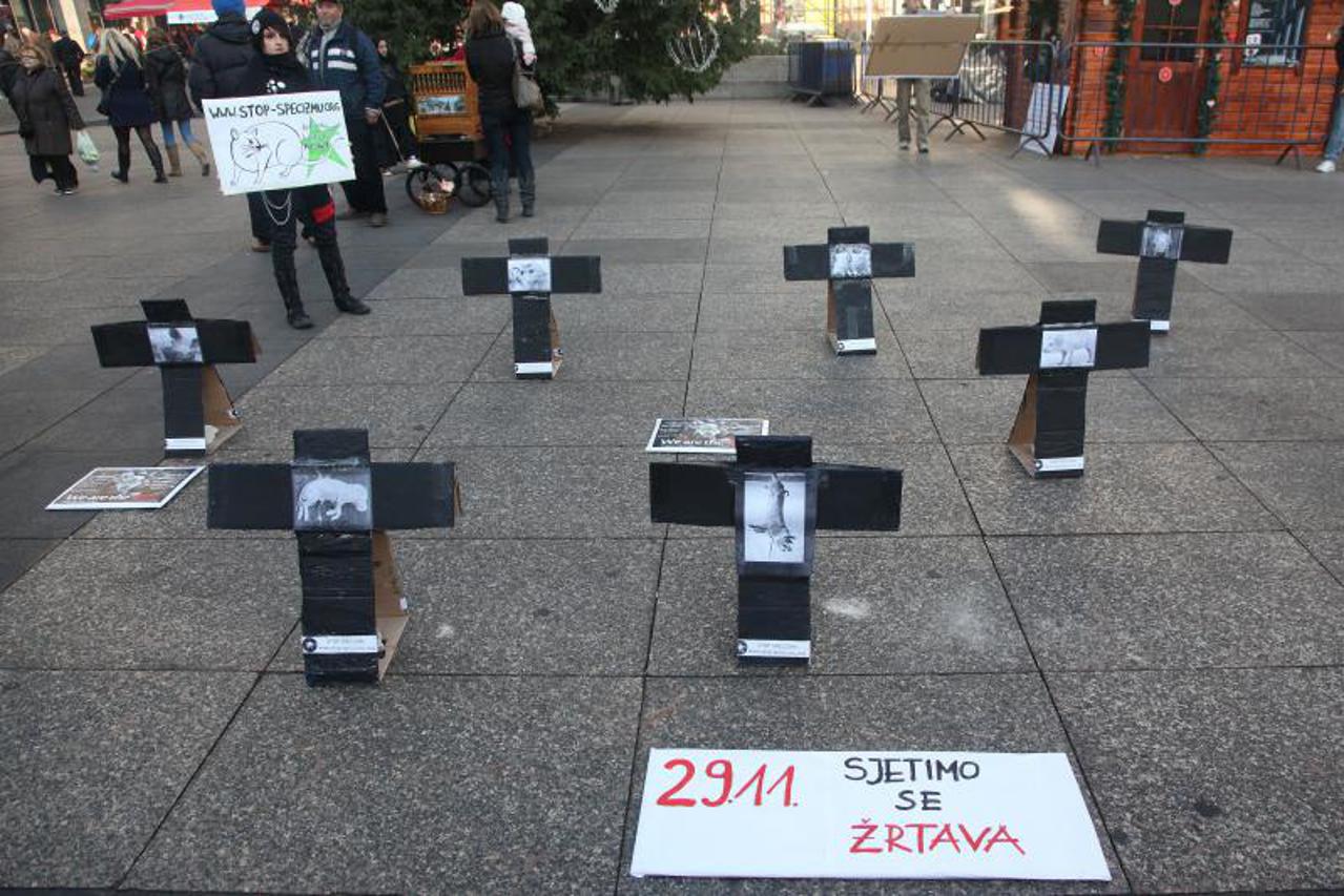 žrtve kolinja, križevi, trg (1)