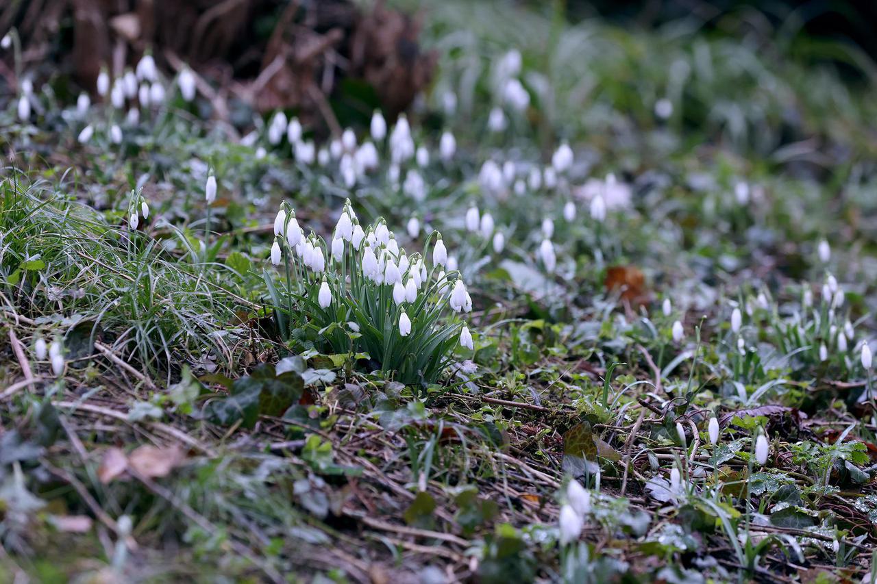 Zagreb: Visibabe osvojile južne padine Gornjeg grada