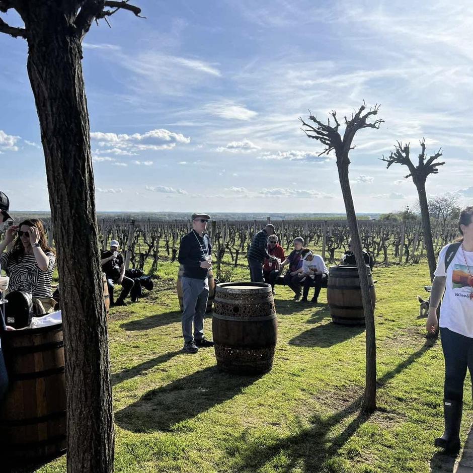 Vina Erdut Wine & Walk