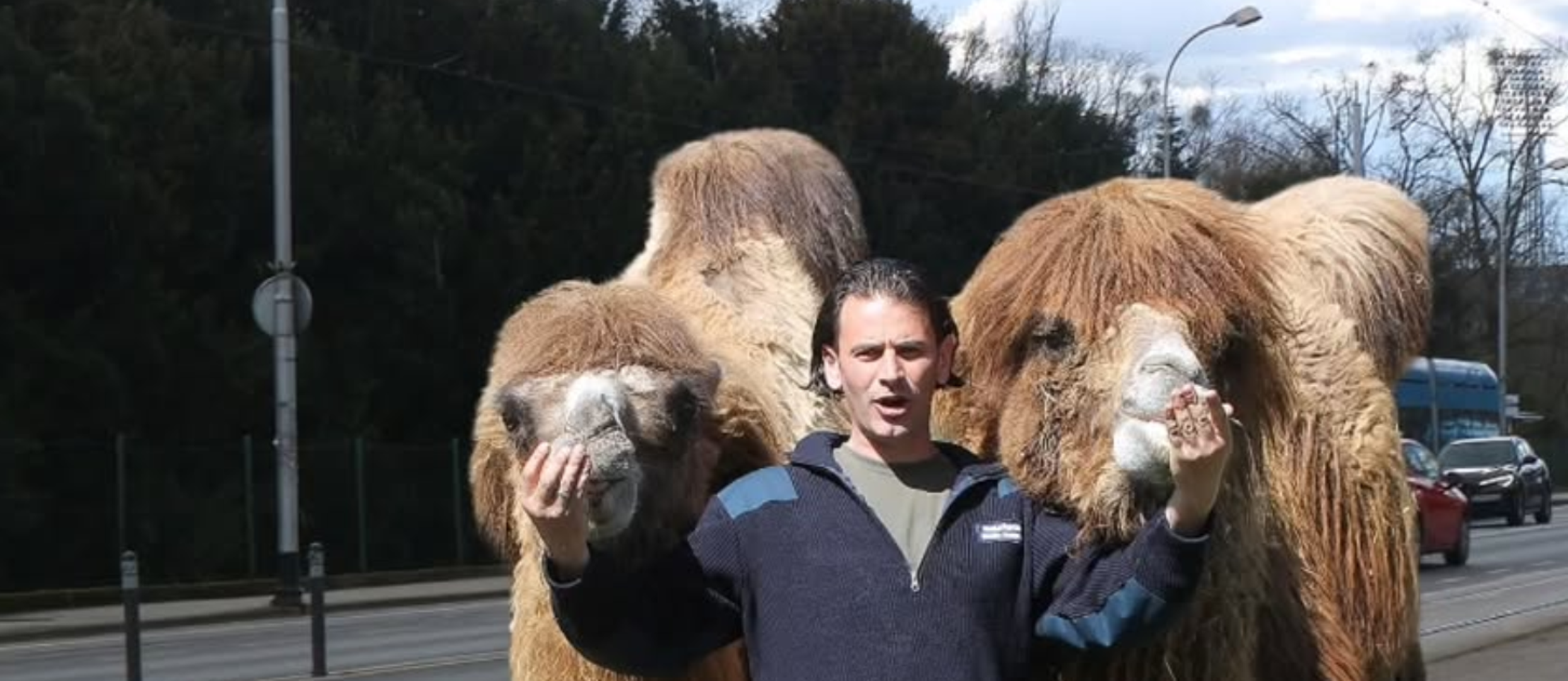 Od šala velikih brendova, do toga da je u trakošćanskom jezeru krokodil pa i da deve hodaju Maksimirom...