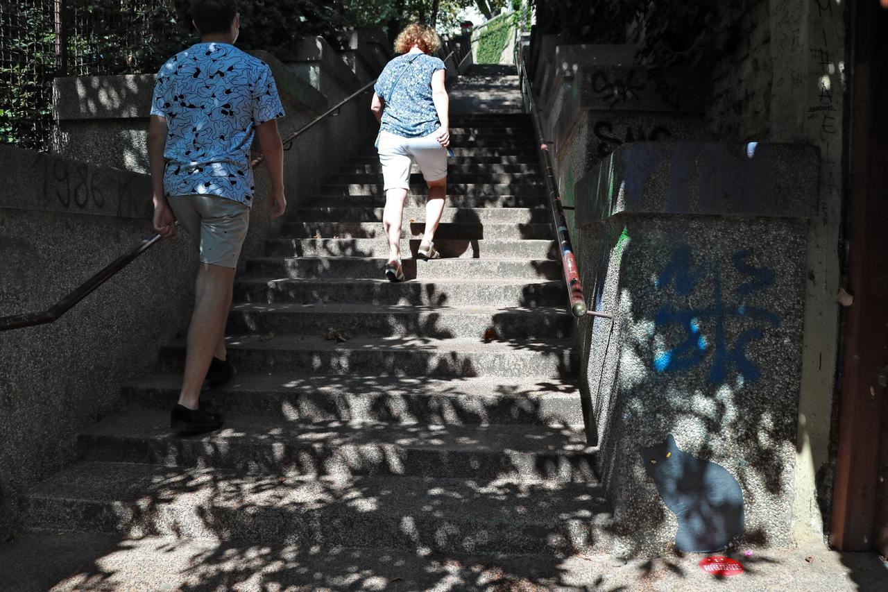 Zagreb: Na Zakmardijevim stubama oslikan je mačak u sklopu projekta OKOLO