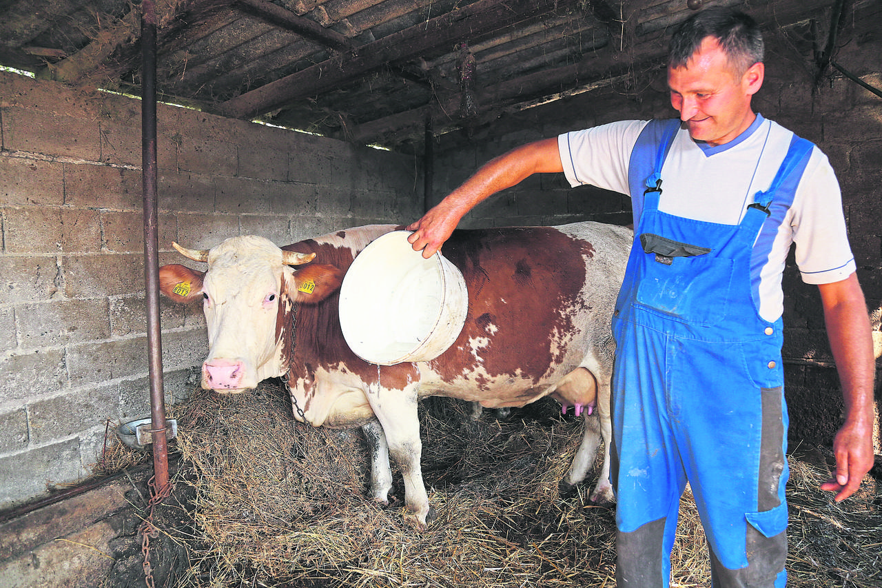 Levanjska Varoš, suša