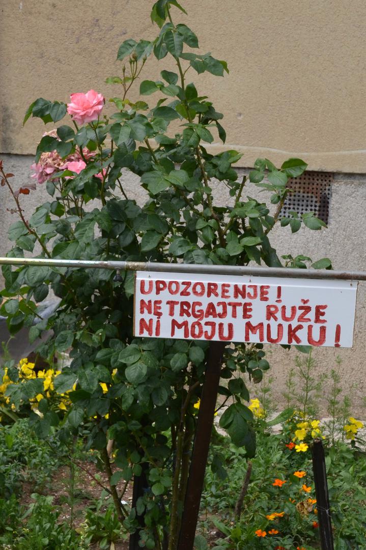 'Upozorenje! Ne trgajte ruže ni moju muku!', drugi je natpis ispred zgrade.