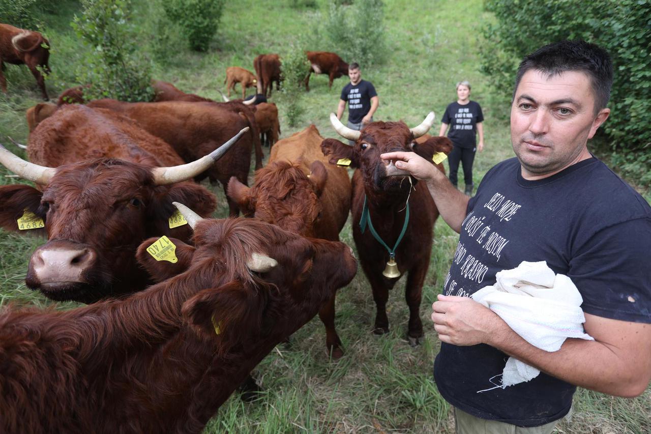 Krasno: OPG Samaržija bavi se ovčarstvom, govedarstvom i povrtlarstvom