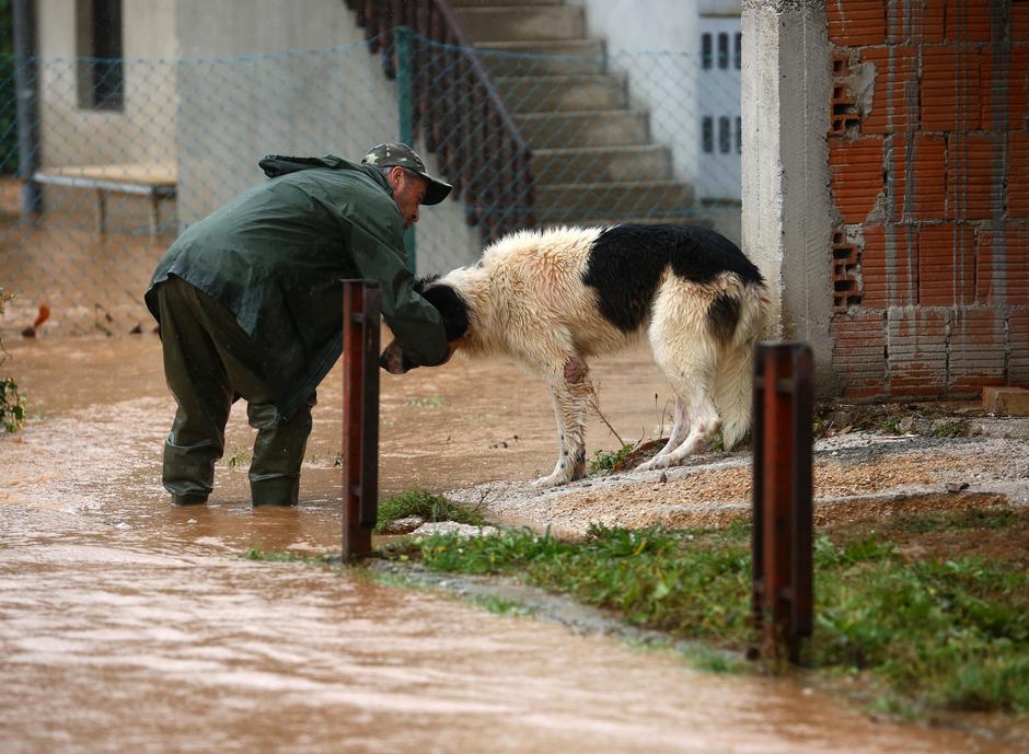 Sarajevo: U borbi s poplavama stanovnici su se pobrinuli za svoje kućne ljubimce