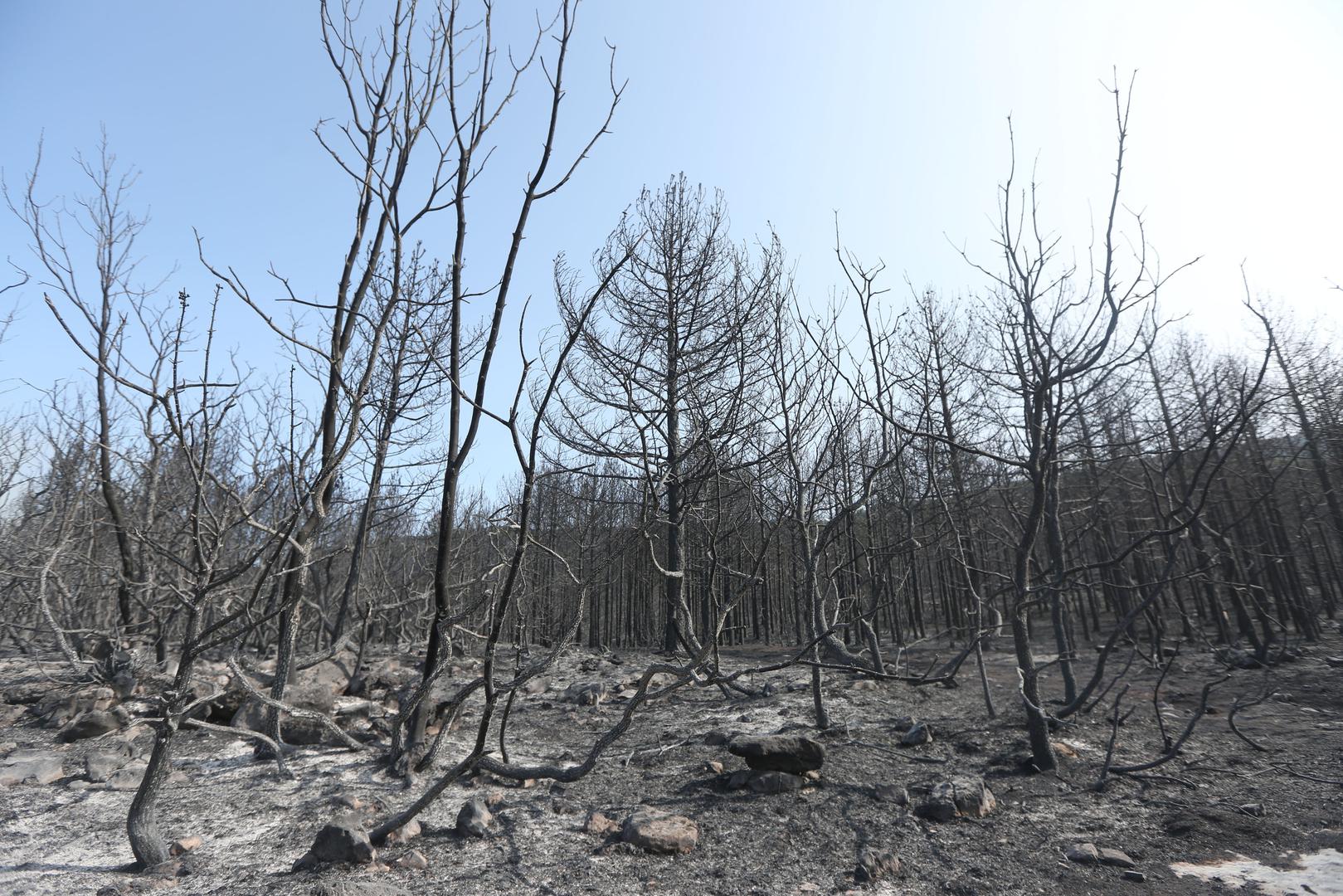 Jučerašnji požar koji je harao drniškim područjem prošao je i kroz mjesto Lišnjak blizu Drniša. 
