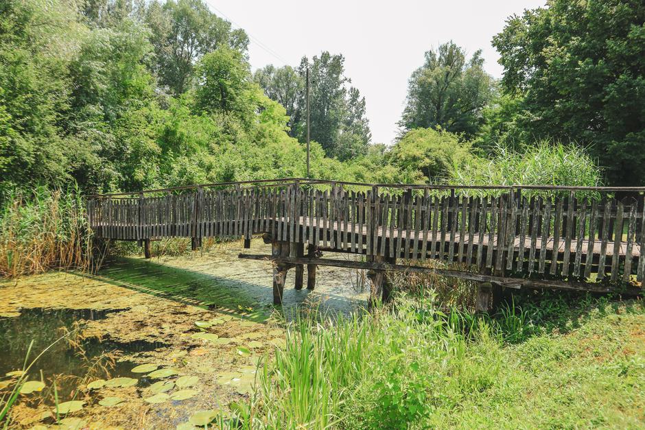 Podunavlje