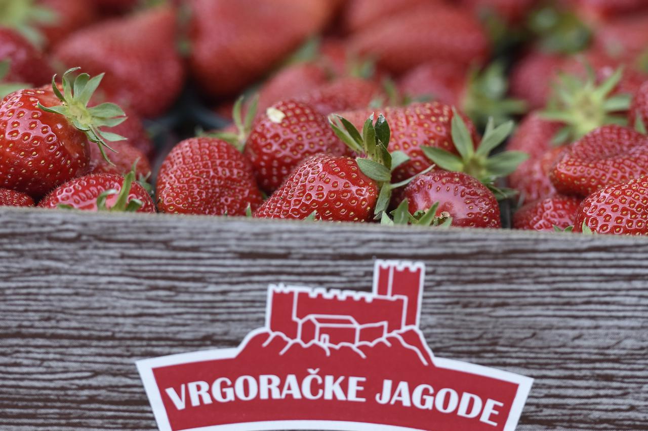 Šibenik: Započela prodaja Vrgoračkih jagoda 8 eura po kilogramu