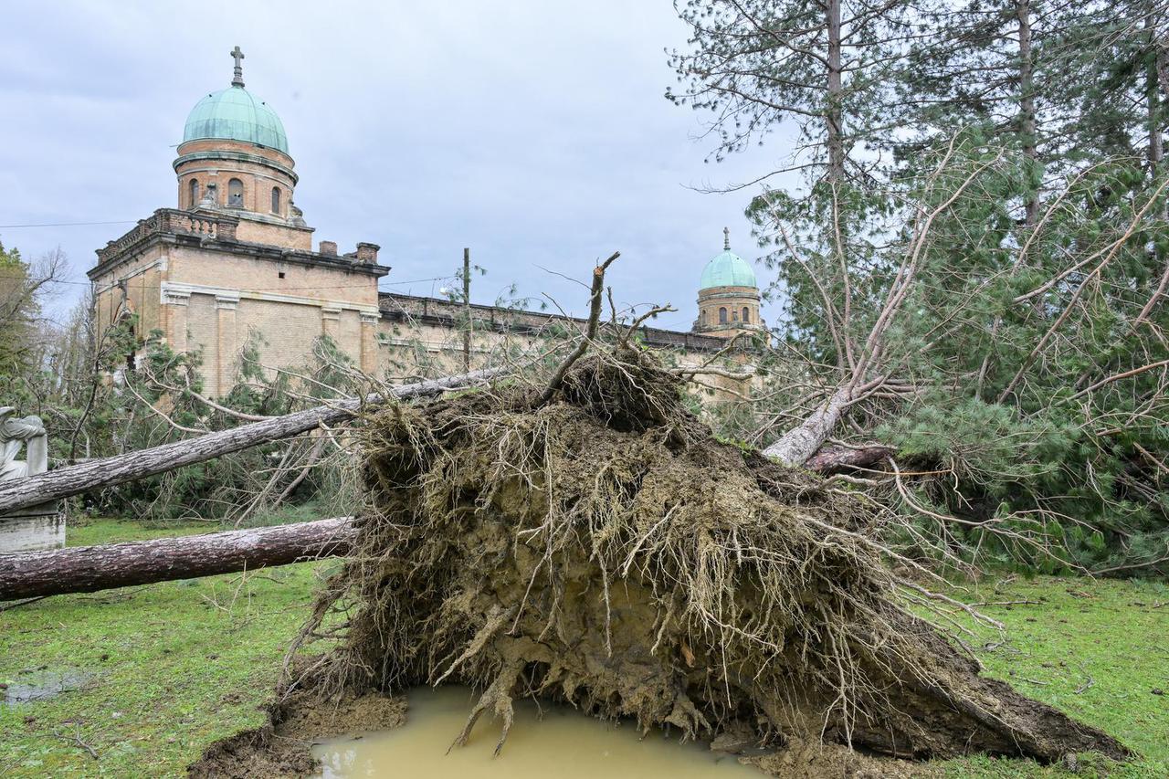 Zagreb: U nevremenu teško  oštećeno gradsko groblje Mirogoj