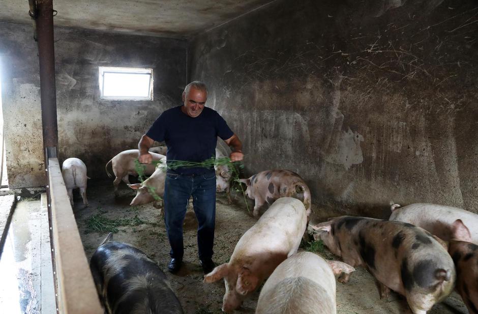 Novi Farkašić: OPG Ovanin